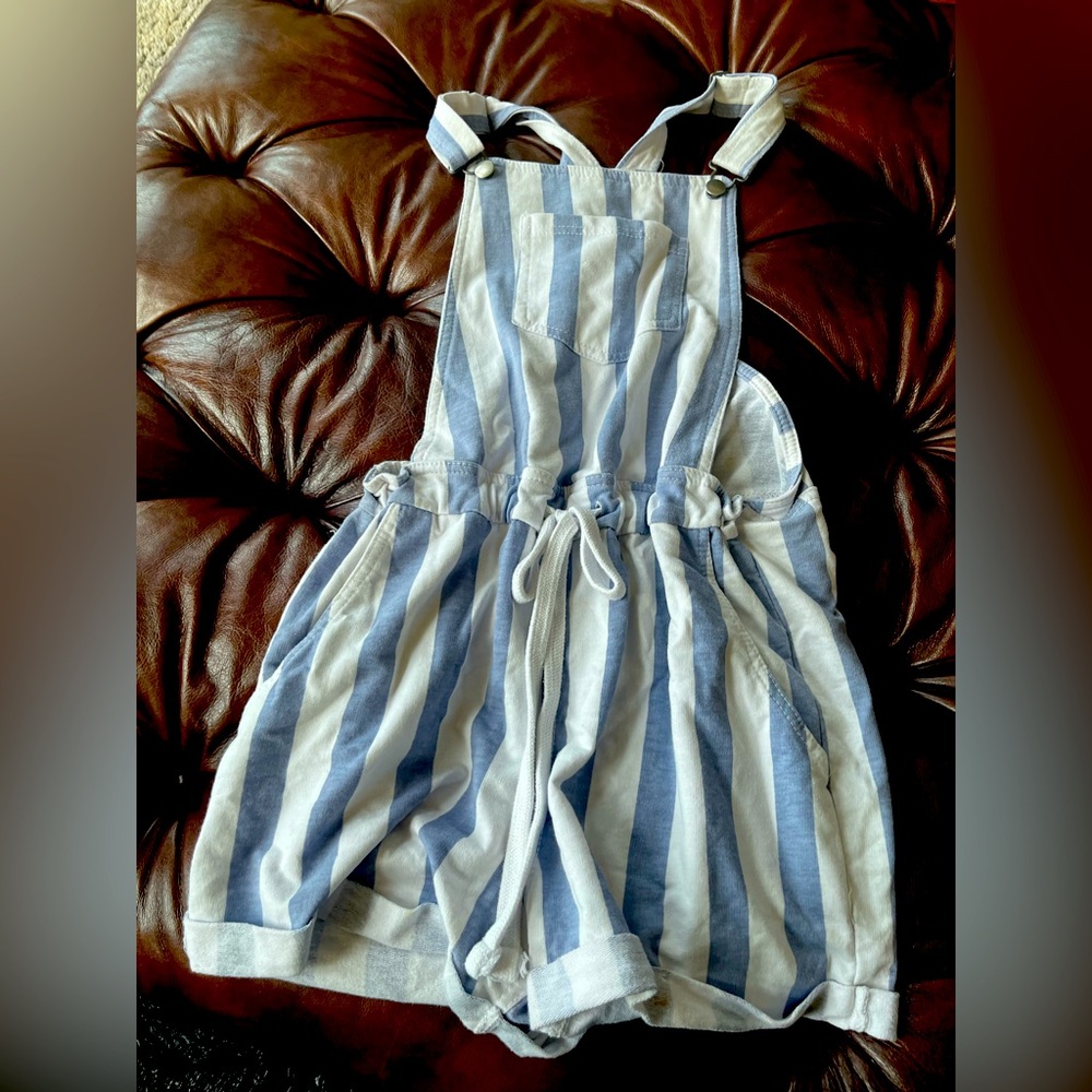 Striped Blue and White Overalls
